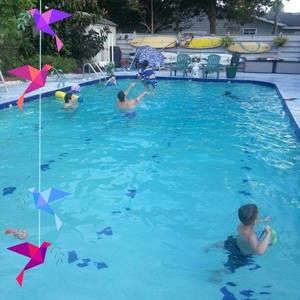 Meet your Posher, Larry